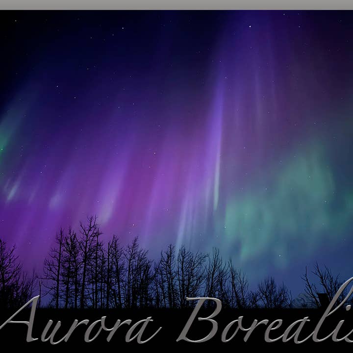 Aurora Mini Autocolante - 50 Luzes Lilás Aurora Boreal por atacado de Aurora Stickers