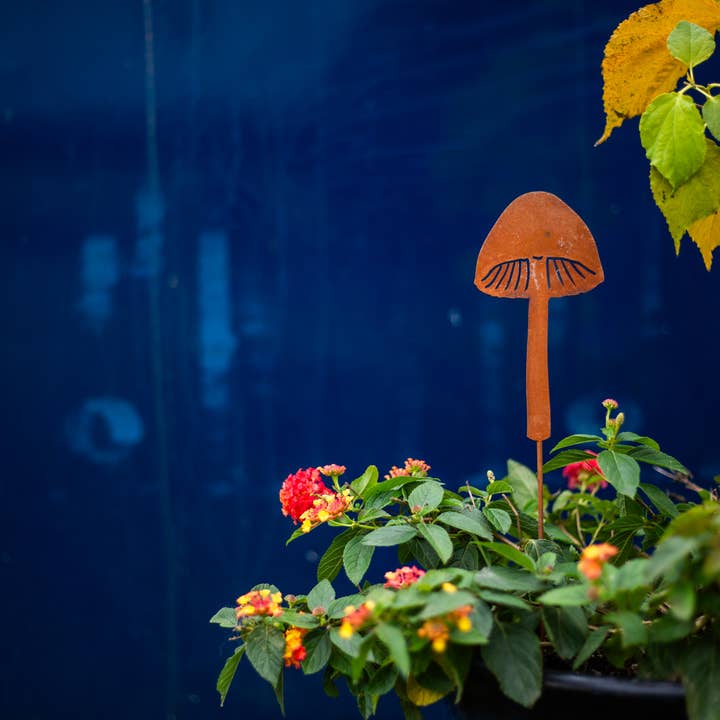 Elegant Garden Design - Vente Piquets de jardin/pelouse - Piques à champignons - Lot de cinq18