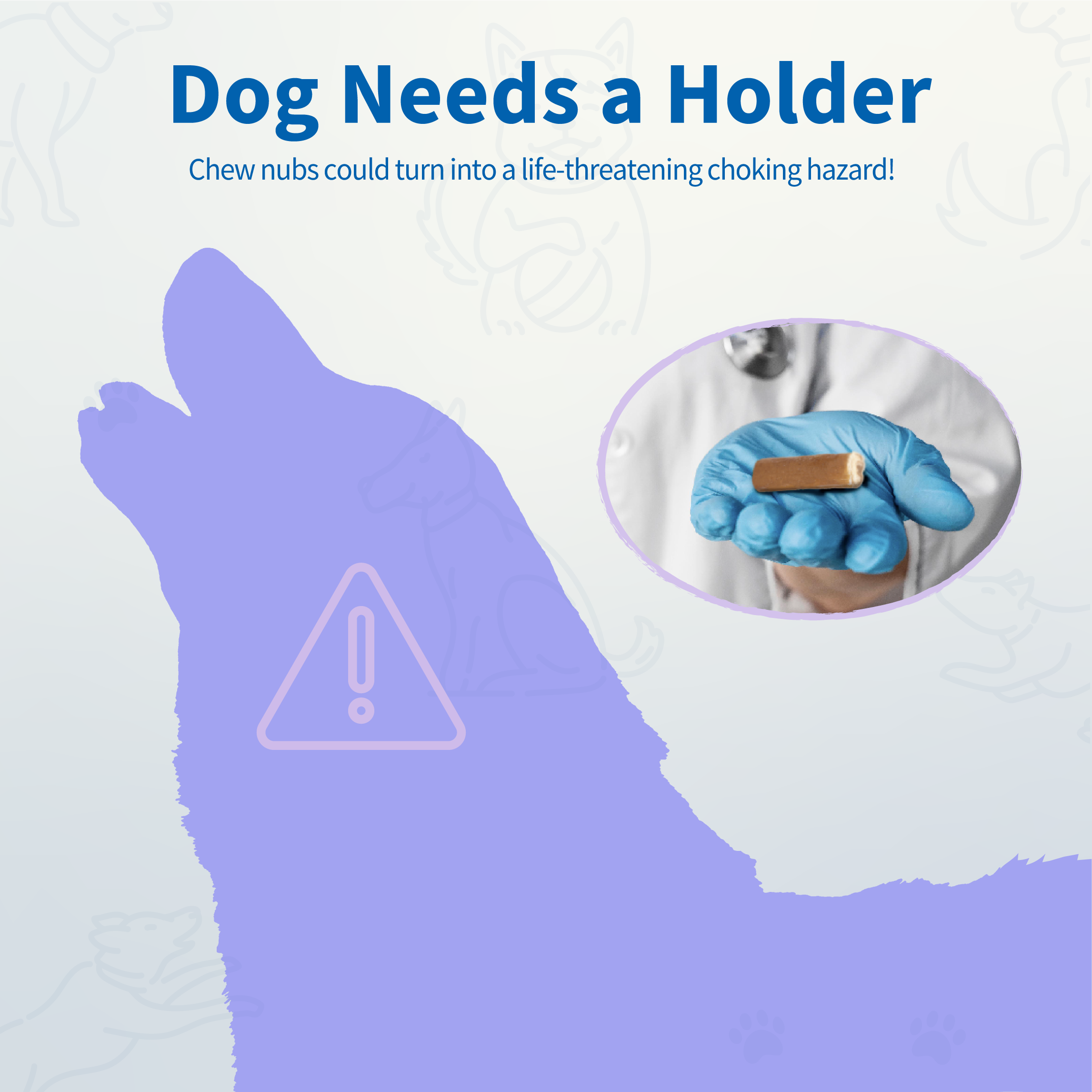 Chewise Official - Wholesale Pet Chew Toy - Dog - Safe Chew Holder | Small | For Dogs Under 20 lbs4