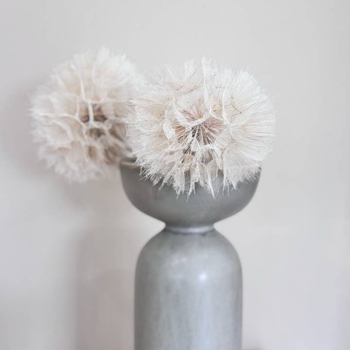 white Dandelion dried individually for wholesale on Faire