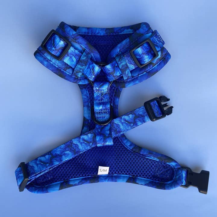 Dizzy Dog Collars - Wholesale Pet Harness - Dog - DOG HARNESS | Blue Marble | Neck Adjustable Dog Harness