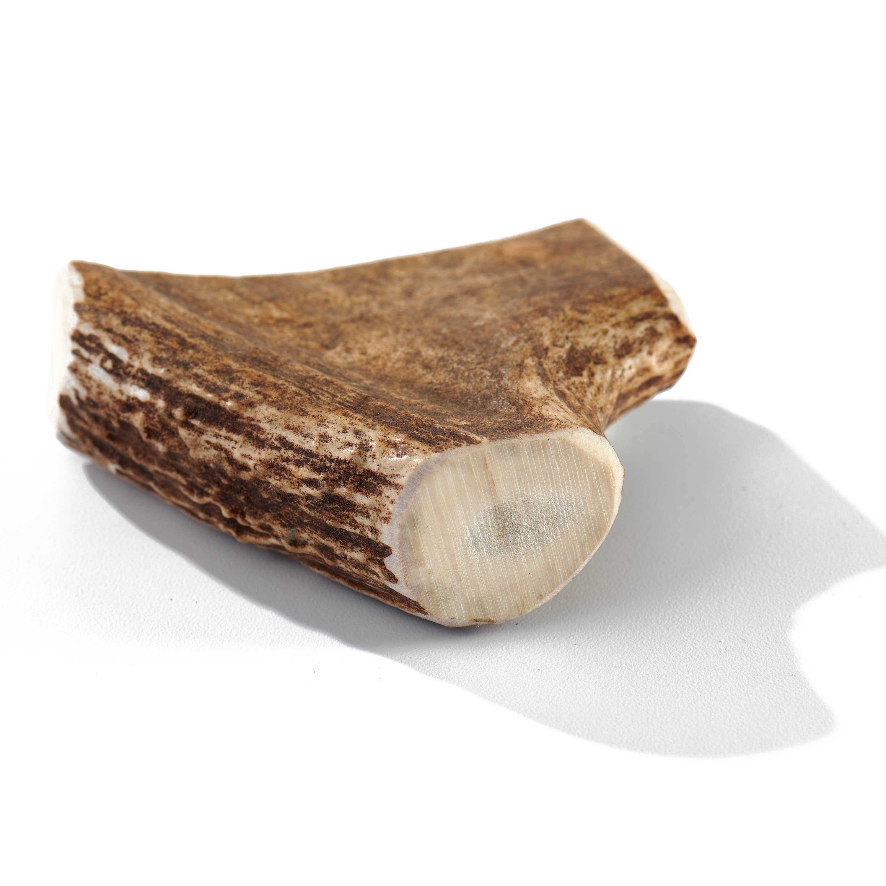 Buck Bone Organics - Vente Jouet à mâcher – chien - Moose en bois d'orignal à mâcher pour chien Bandes Taille M1