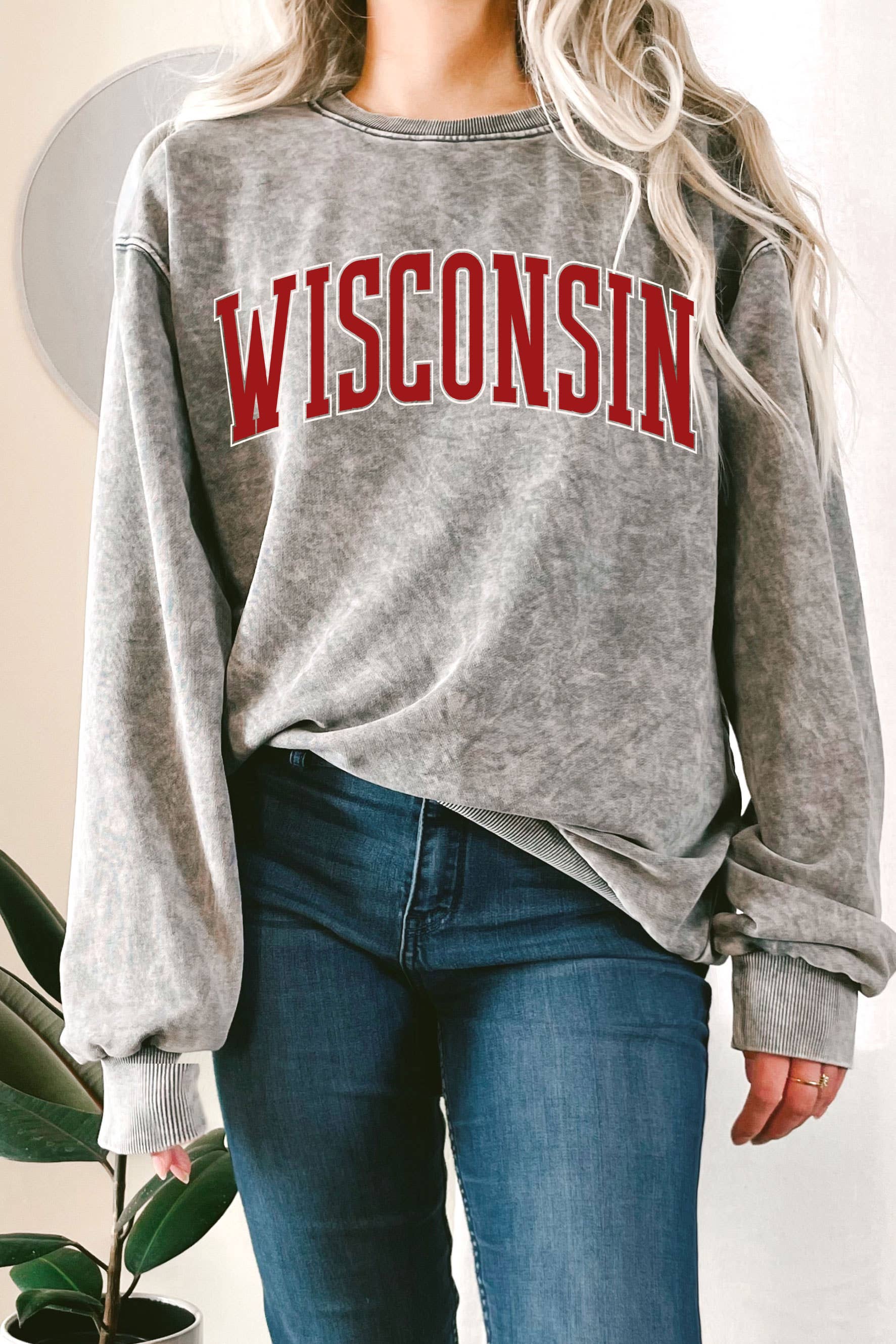 Rustee Clothing - Wholesale Graphic sweatshirt – Unisex - WISCONSIN PUFF PRINT MINERAL GRAPHIC TERRY SWEATSHIRT1