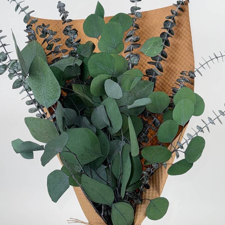 Andaluca - Wholesale Dried/Pressed Flowers - Silver Dollar & Baby Eucalyptus 8 ounce Preserved Bundle