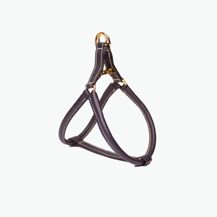 Agnes sele - Svart, Medium för wholesale av Clementine est dogs