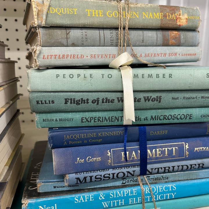 Made Market Co. - Wholesale Decorative Tabletop Object - Decorative Vintage Books Decor - Cool Colors. Set of 310