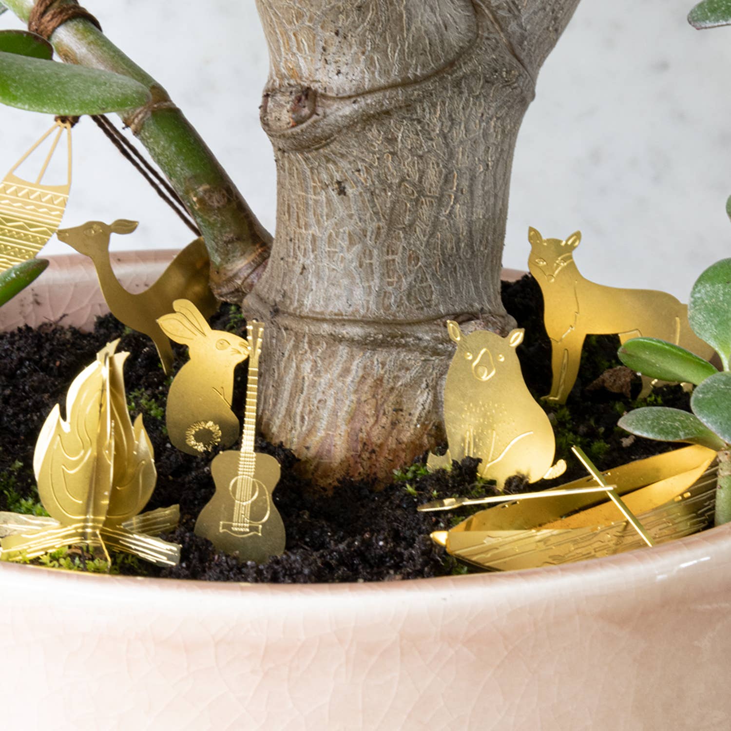 Botanopia - gifts , decor and cards for plant lovers – Engroshandel DIY-hobbysæt – Tiny Camping sæt til dine planter5