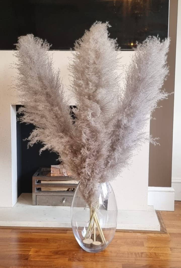 LoveProducts Ltd - Vente Fleur séchée/pressée - Grande herbe de la Pampa séchée gris foncé naturel décor floral pour la maison2