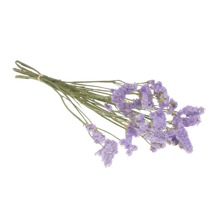 Wildflowers by Floriette - Wholesale Dried/Pressed Flowers - Dried Flowers - Statice Natural Lilac