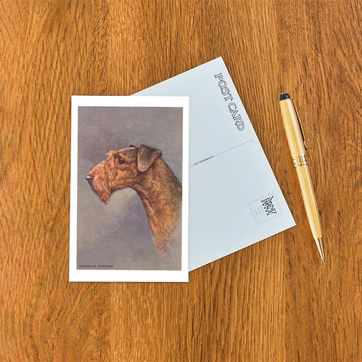 Found Image Press - Wholesale Postcard - Postcard DG-68 Airedale Terrier1