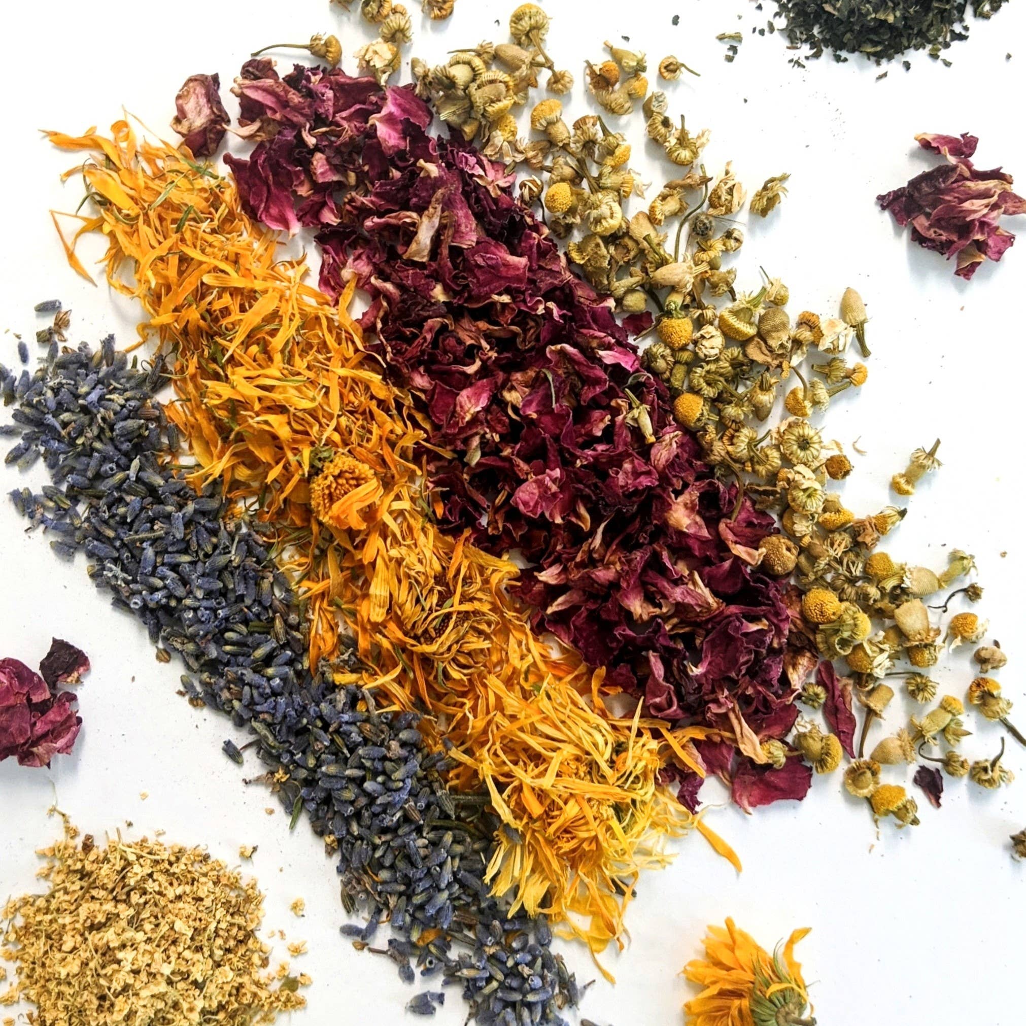 Terra Stoma - Wholesale Eyelash/Brow Serum - BROW + LASH ELIXIR1