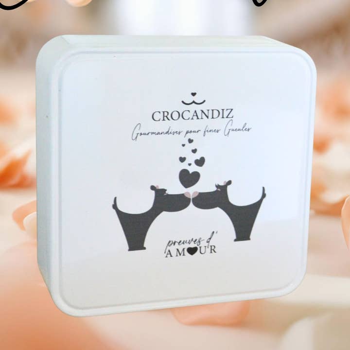 Vierkante doos met natuurlijke hondenkoekjes voor wholesale door Crocandiz