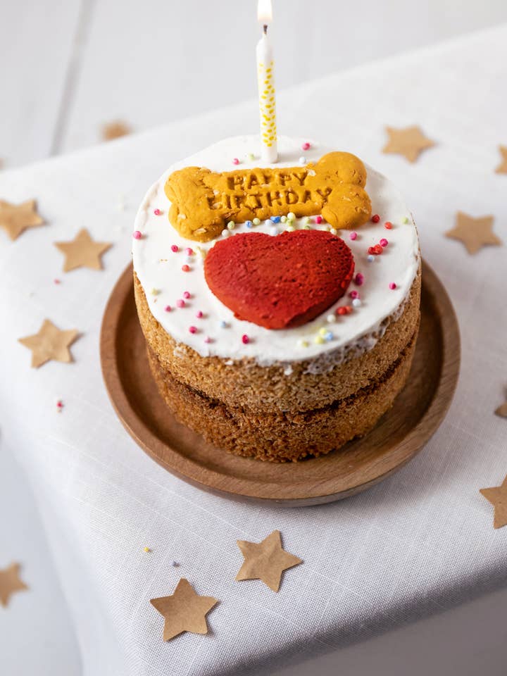 Dog Birthday Cake (TRADE) for wholesale by Life Of Riley Bakery Ltd