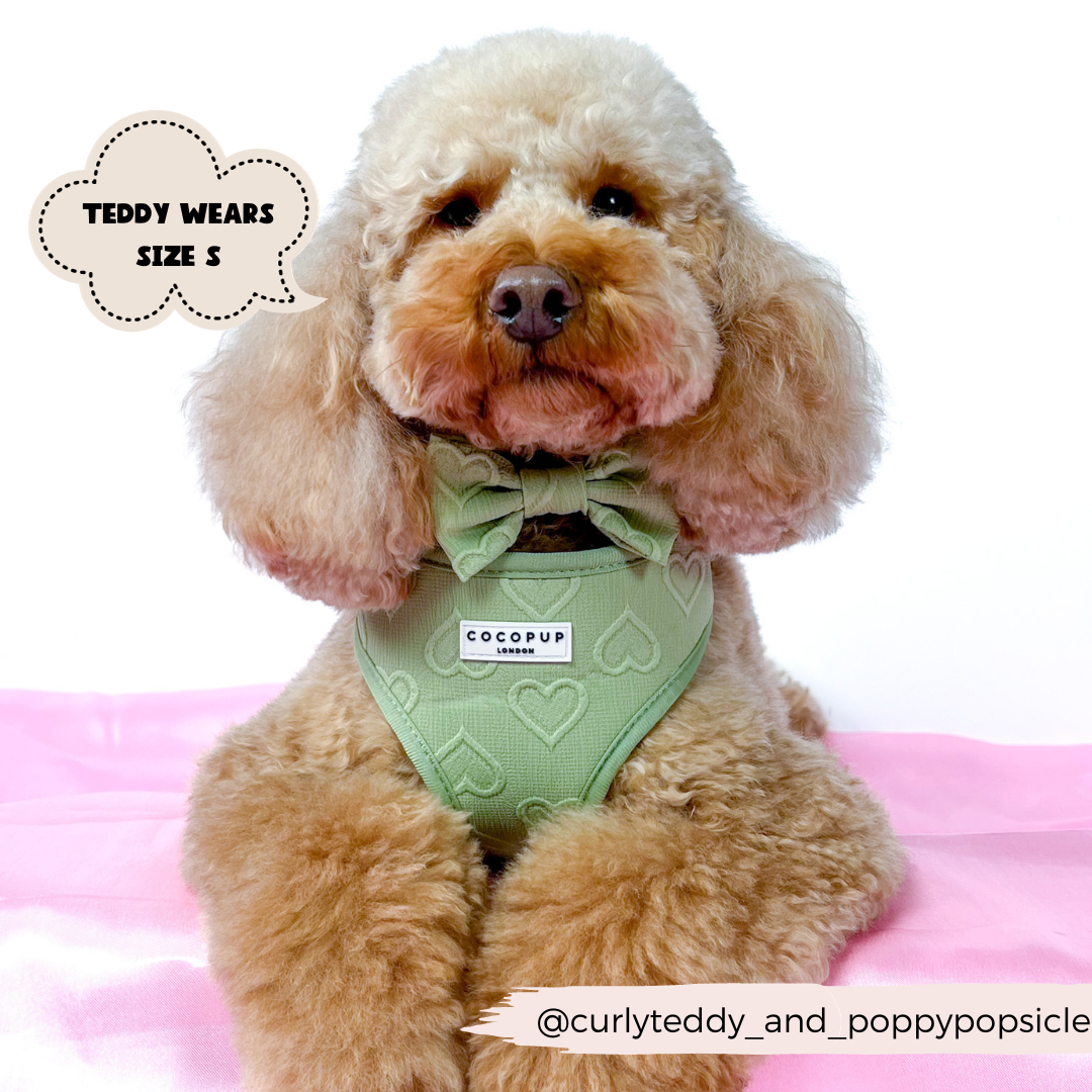 Cocopup London - Wholesale Pet Harness - Dog - Luxe Adjustable Neck Harness - Sage Heart10