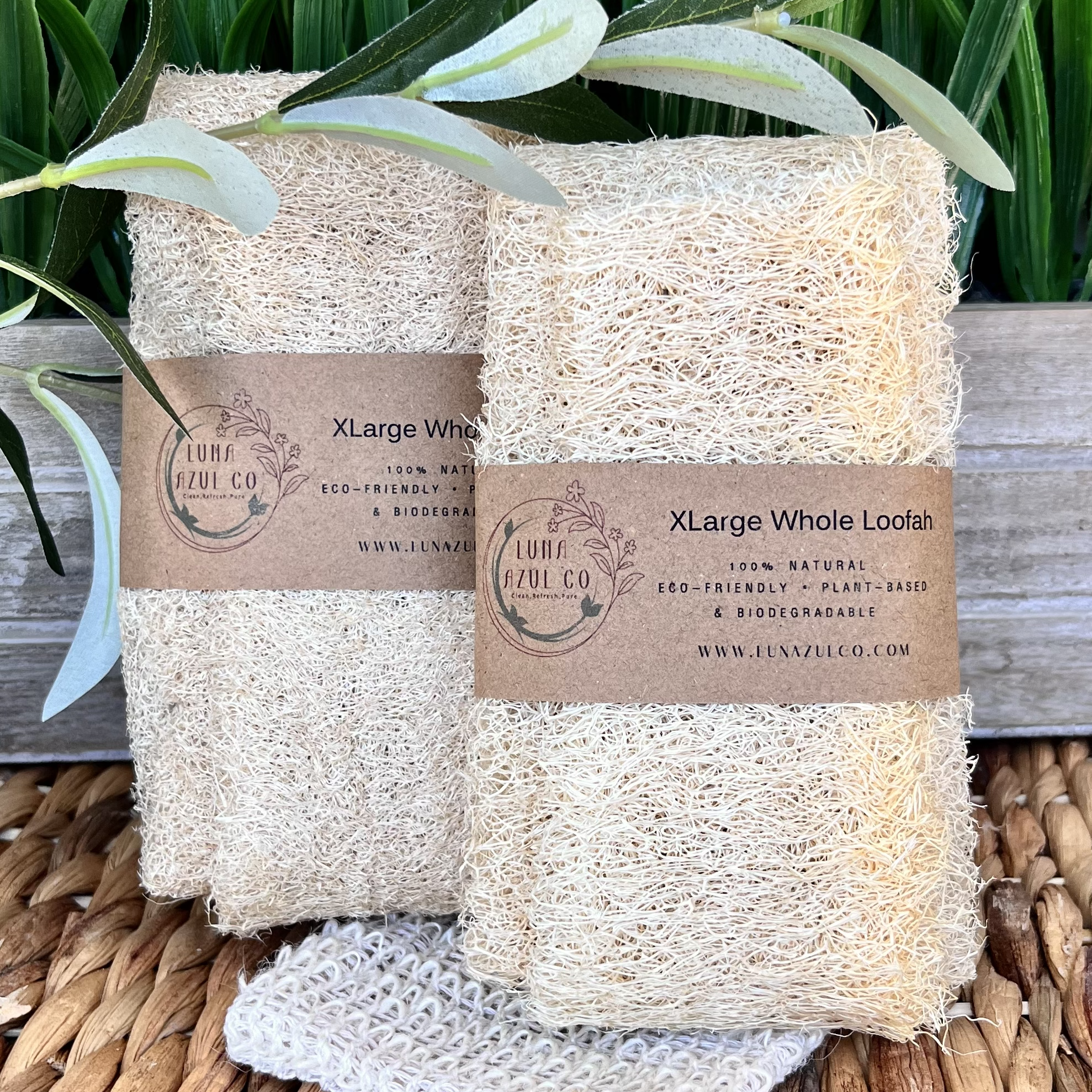 Luna Azul Co - Wholesale Loofah - Natural X-Large Whole Loofah Sponge1
