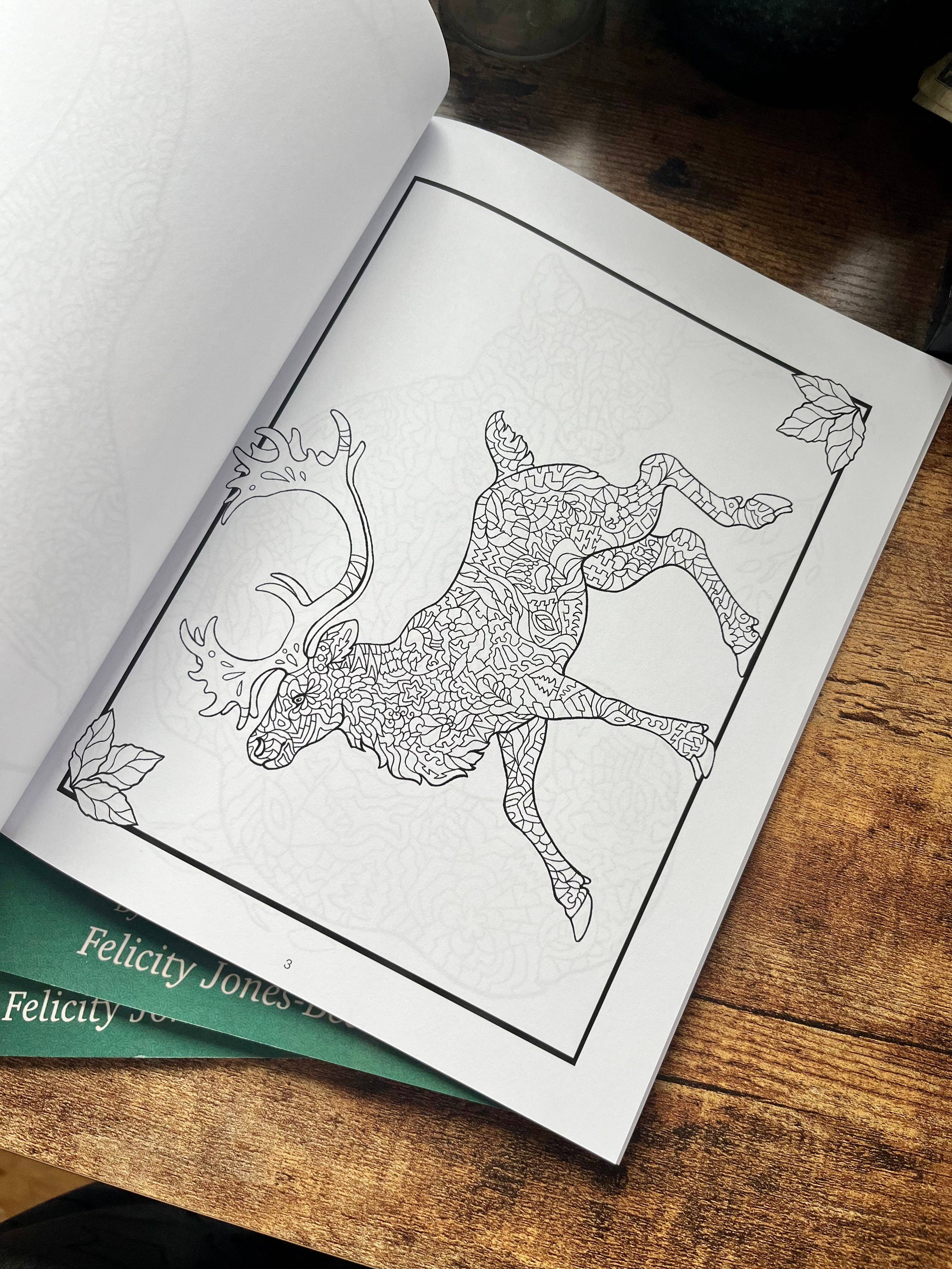 FJ Creations - Wholesale Coloring & Activity Book - Adult - Doodle Alaska 2 Coloring Book of Alaska6