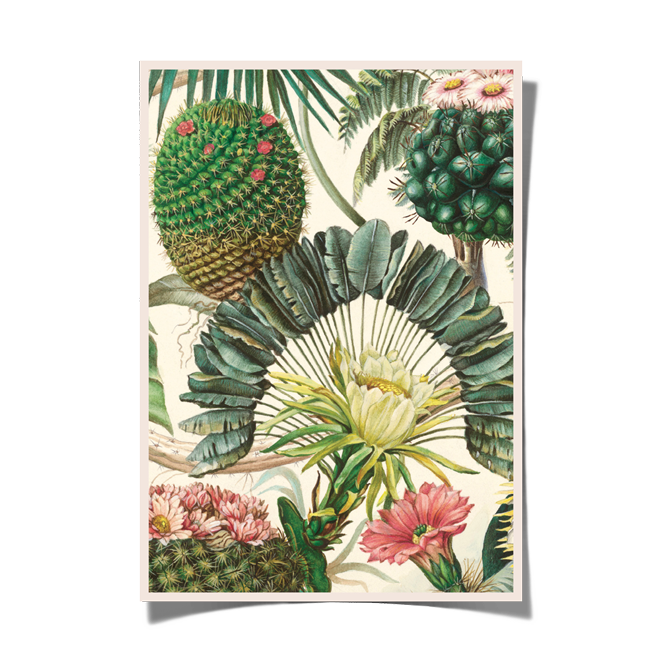 Bomo Art Budapest - Wholesale Art Print - Bomo Print A42