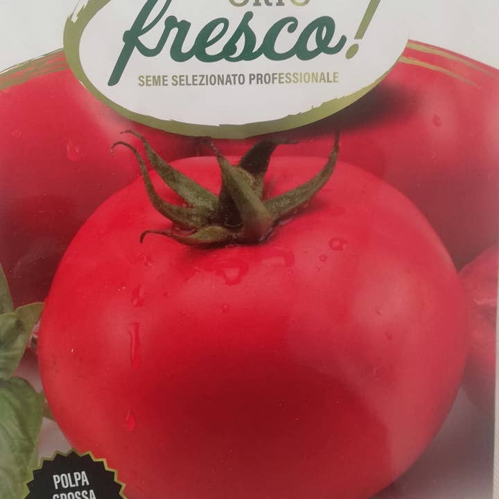 Sementi & Barbatelle – wholesale Plant seeds – Smooth Round Tall Tomato Saint Pierre