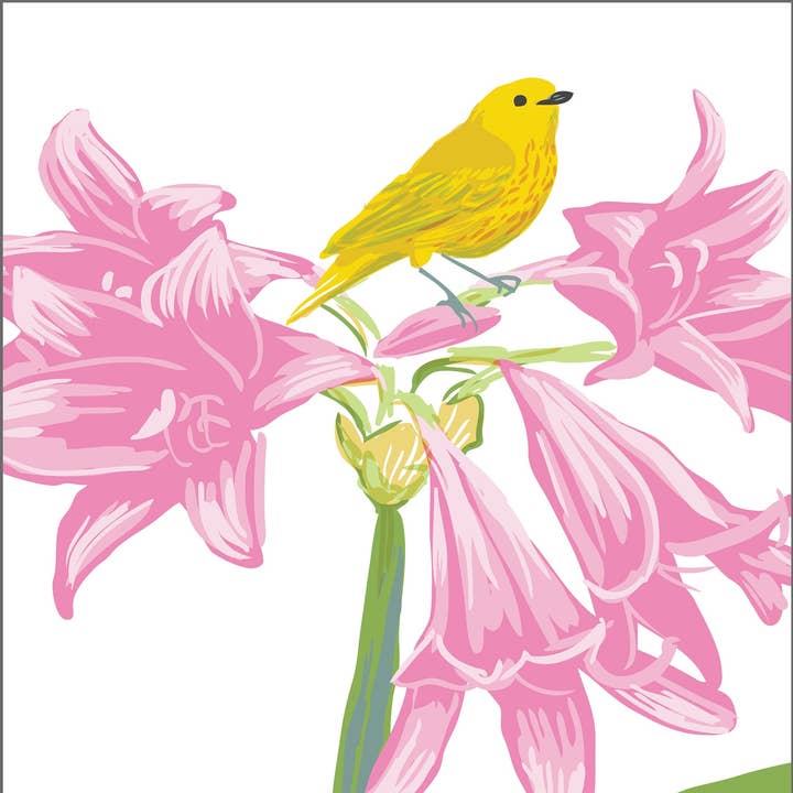 Impression artistique RBI-238 Paruline, oiseau et ampoule d'amaryllis rose pour la vente par Rigel Paper