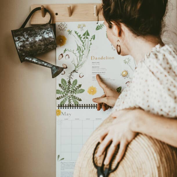 Herbal Academy - Vente Calendrier - CALENDRIER SANS DATE SUR 12 MOIS POUR LE BIEN-ÊTRE DES PLANTES1