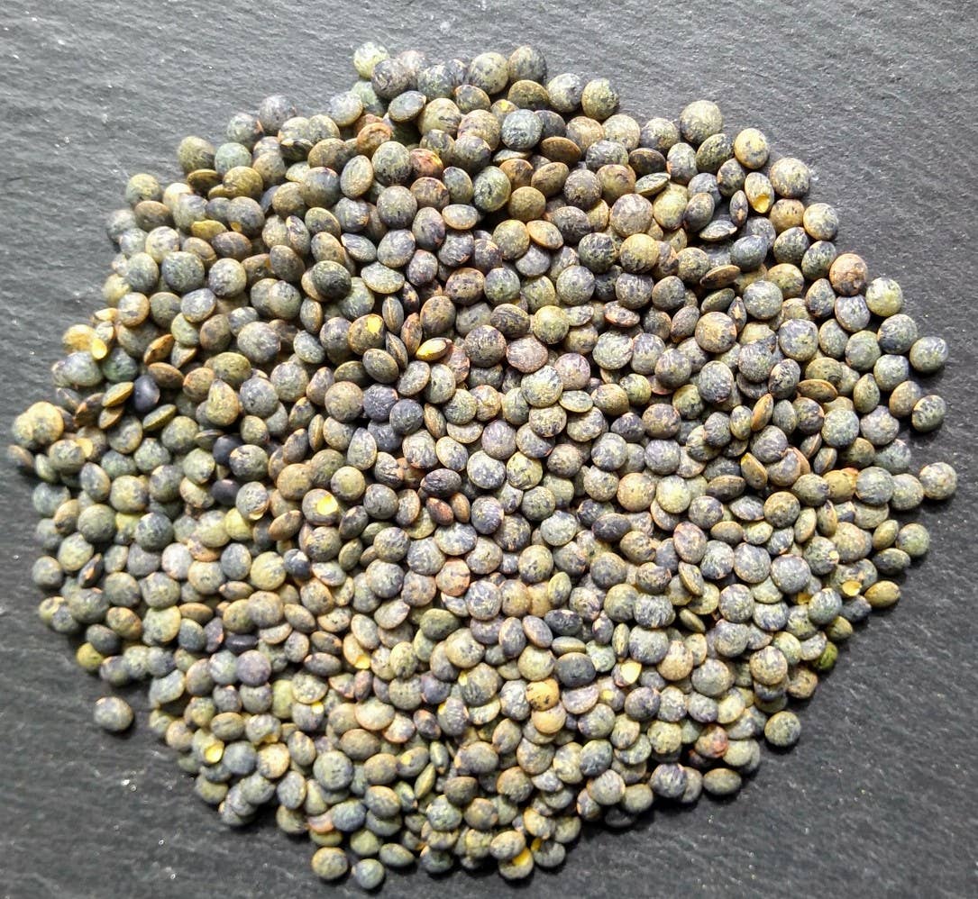 GRAINES AU VENT - Wholesale Beans - bulk green lentils 1 kg