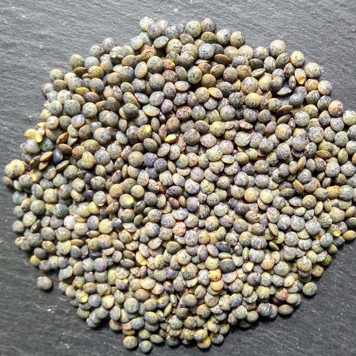 GRAINES AU VENT - Wholesale Beans - bulk green lentils 1 kg0