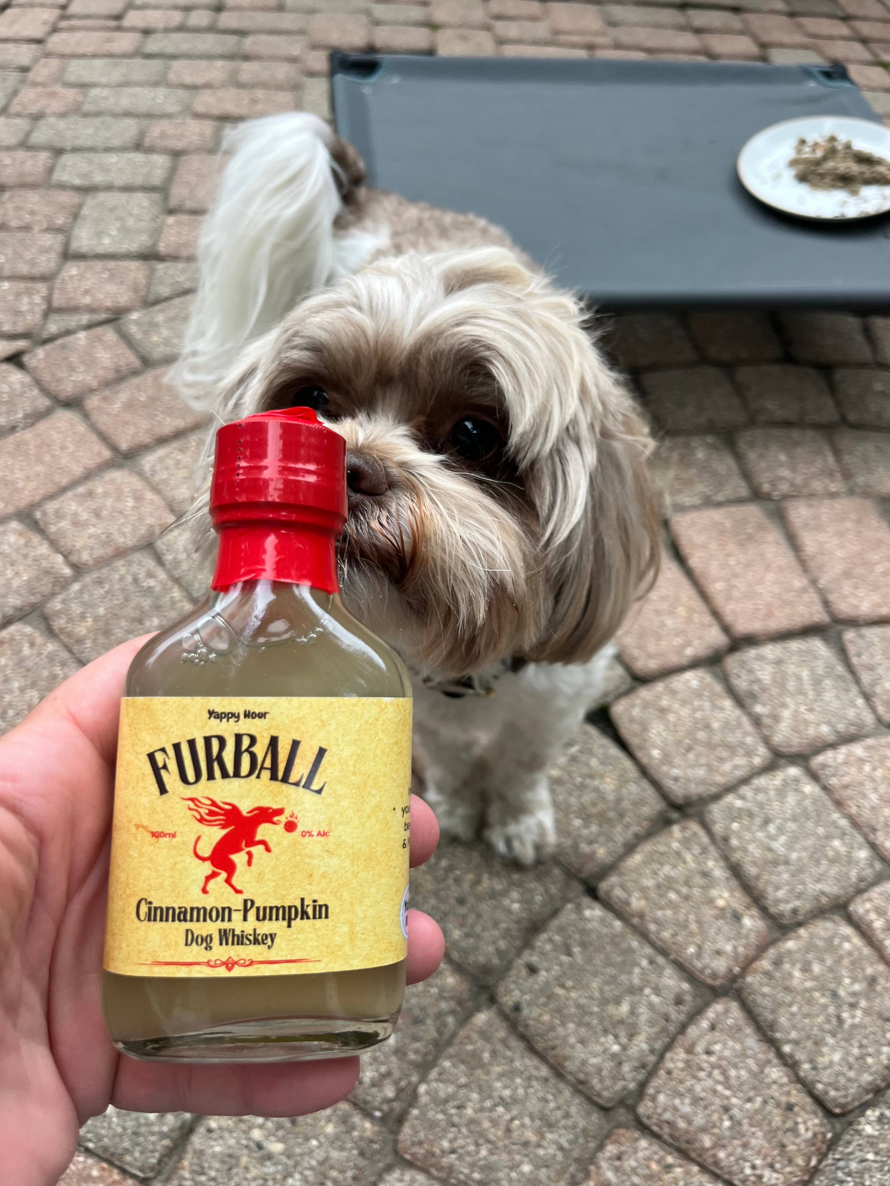 Yappy Hour - Wholesale Pet Treats - Dog - Furball Dog Whiskey Minis 100ml | Pumpkin | 12ct2