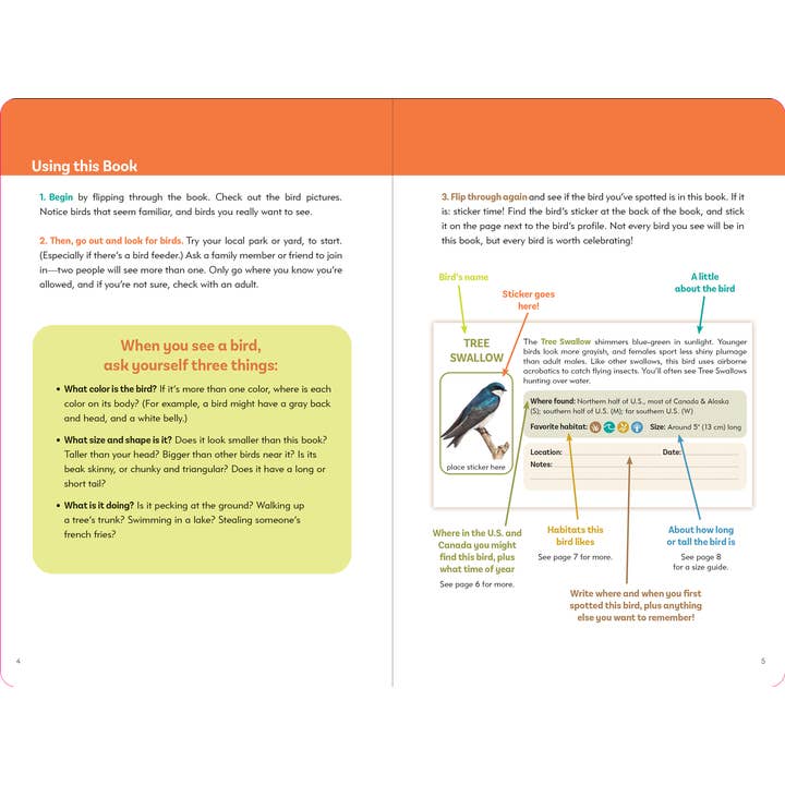 Peter Pauper Press - Wholesale Coloring & Activity Book - Kids & Baby - The Birder's Logbook: A Seek-and-Sticker Book for Budding Ornithologists2