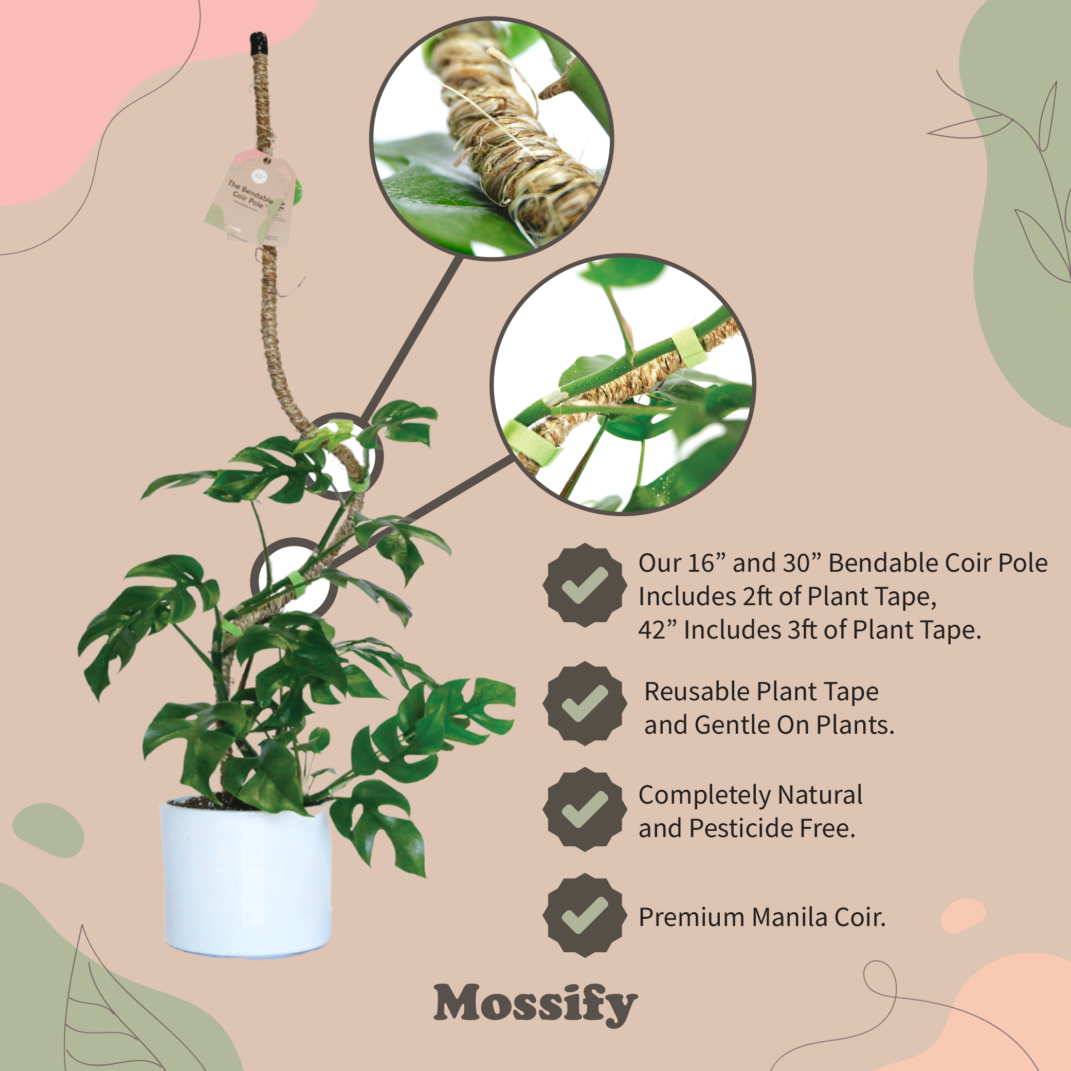 Mossify - Wholesale Trellis - Bendable Coir Pole™ – Flexible Plant Support for Tropicals7