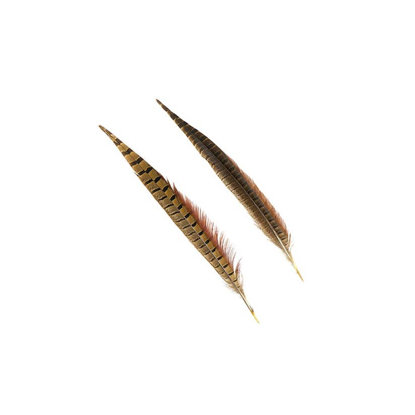Zucker Feather Products - Wholesale Veren - 10 stuks/PKG Fazantstaarten met ringhals 12-14" - Naturel2