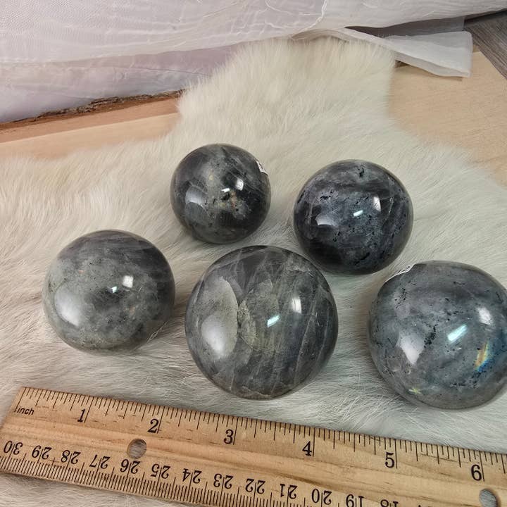 Aquamarine Daydream Wholesale - Wholesale Spiritual Stone/Crystal - 5pc Labradorite Spheres ~ Polished Crystals ~ Bulk Minerals