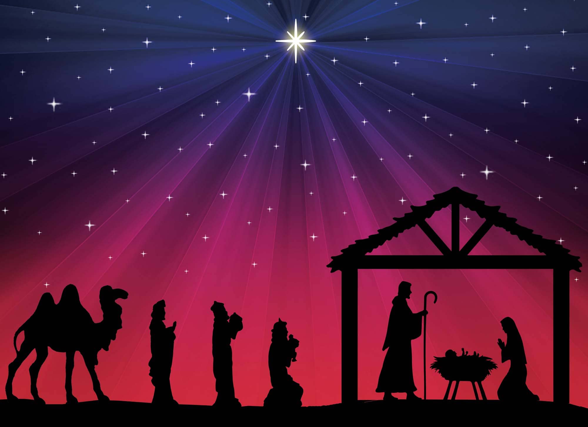 Crown Point Graphics - Wholesale Christmas Card - Religious Boxed Christmas Cards, Nativity, 12 Cards8