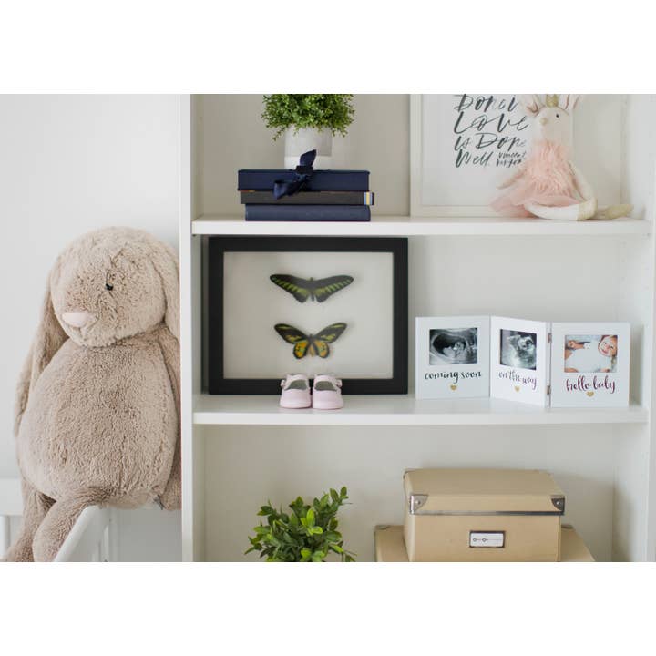 Pearhead - Wholesale Picture Frame - Kids & Baby - Triple Sonogram Keepsake Frame7