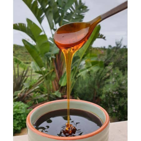 Zayti L.T.D.M - Venta al por mayor Miel - Miel cruda premium de aguacate mexicano - frasco de 300 g | 100 %2