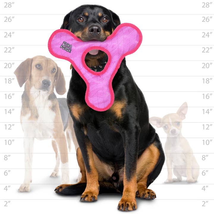 Tuffy Dog Toys - VIP Products - Wholesale Pet Squeaky Toy - Dog - DuraForce Triangle Ring - Pink, Durable, Squeaky Dog Toy4