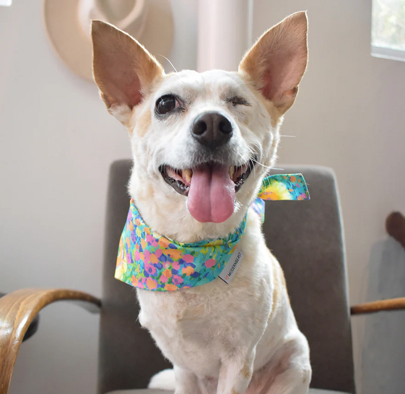 MODERNBEAST – wholesale Pet bandana – Dog – FLORAL BANDANAS (Options Available)10
