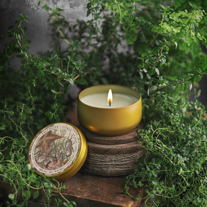 BOTANICA | Eau salée + Agrumes | Boîte de 8 oz pour la vente par L'apothicaire Co.