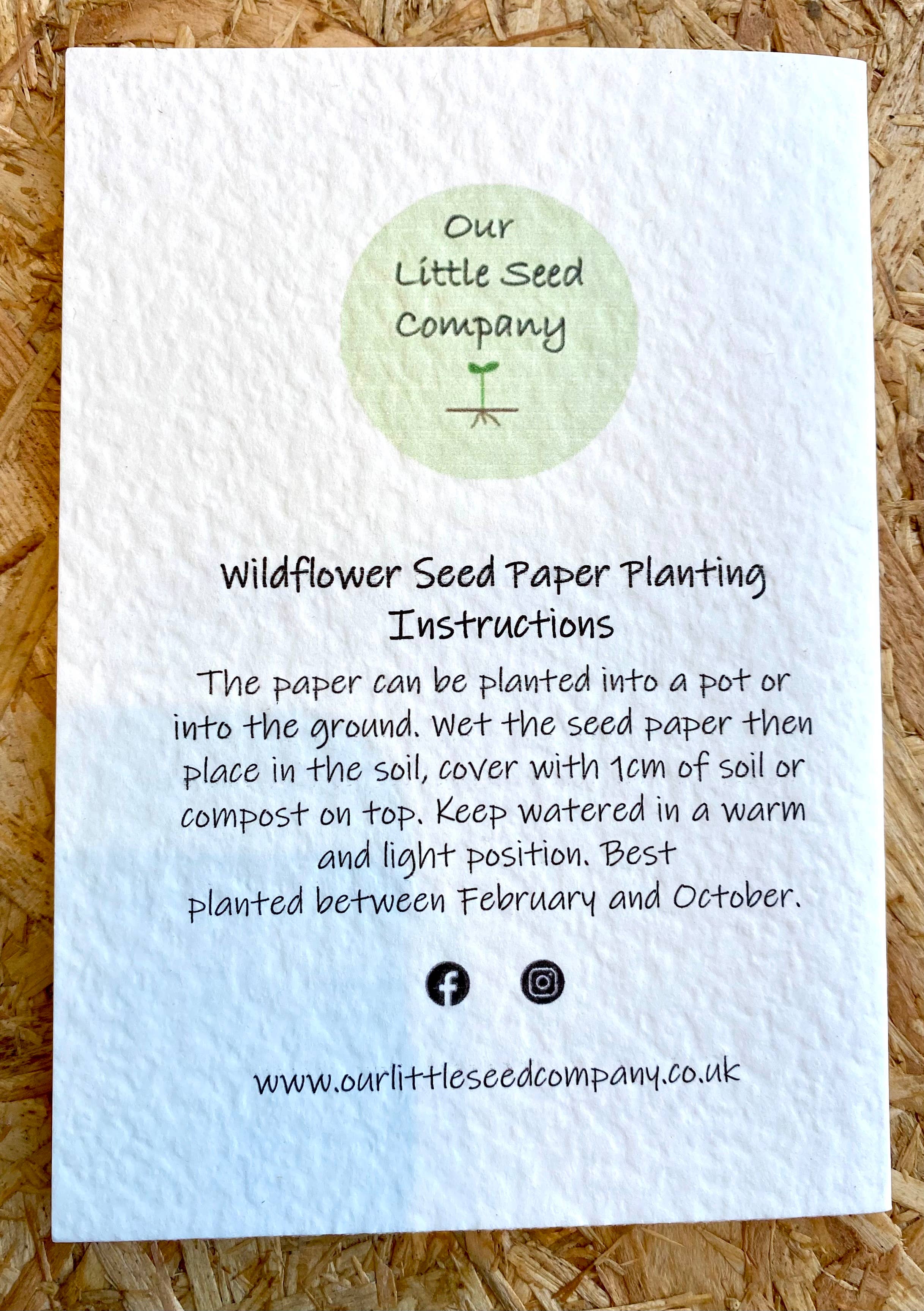 Our Little Seed Company - Wholesale Birthday card - Birthday - Sunflower2