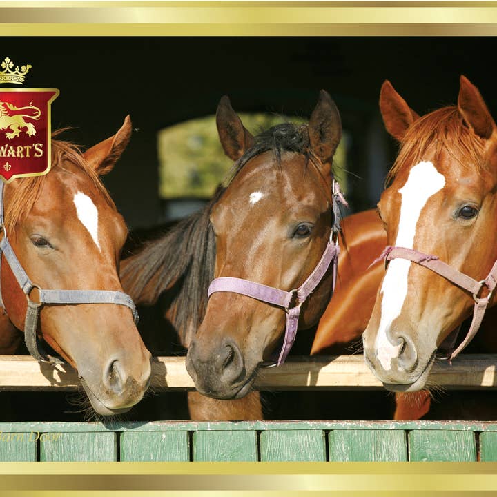 At The Barn Door Shortbread Tin - 150g for wholesale by Stewart's Scotland