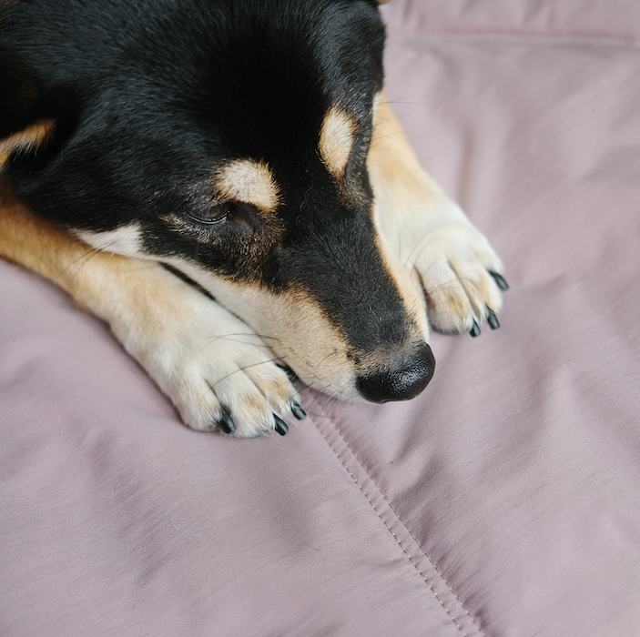 Lambwolf Collective - Wholesale Pet Mat - Dog - ORII | ultralight pet travel mat//DOG MAT11