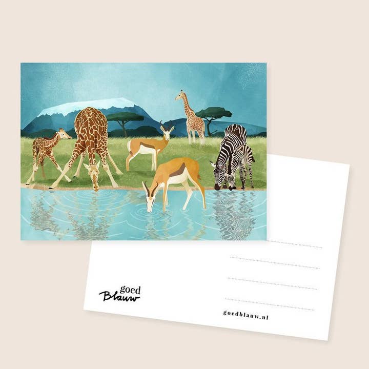 Savannah für den Großhandel von Goed Blauw