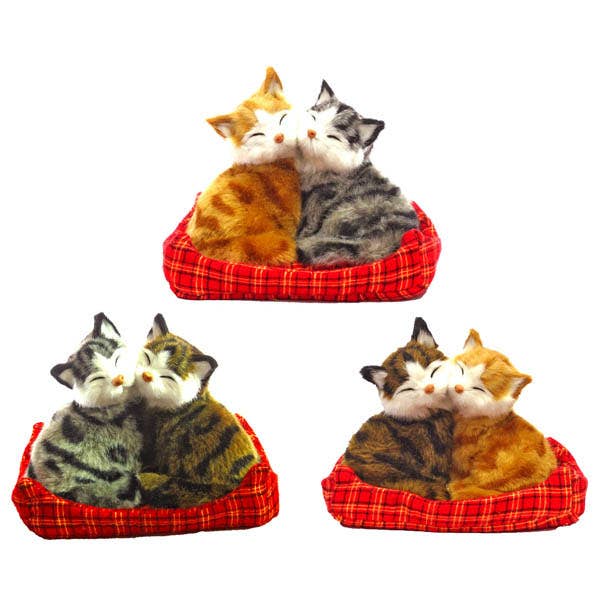 Pareja de Gatos pour la vente par JUMI