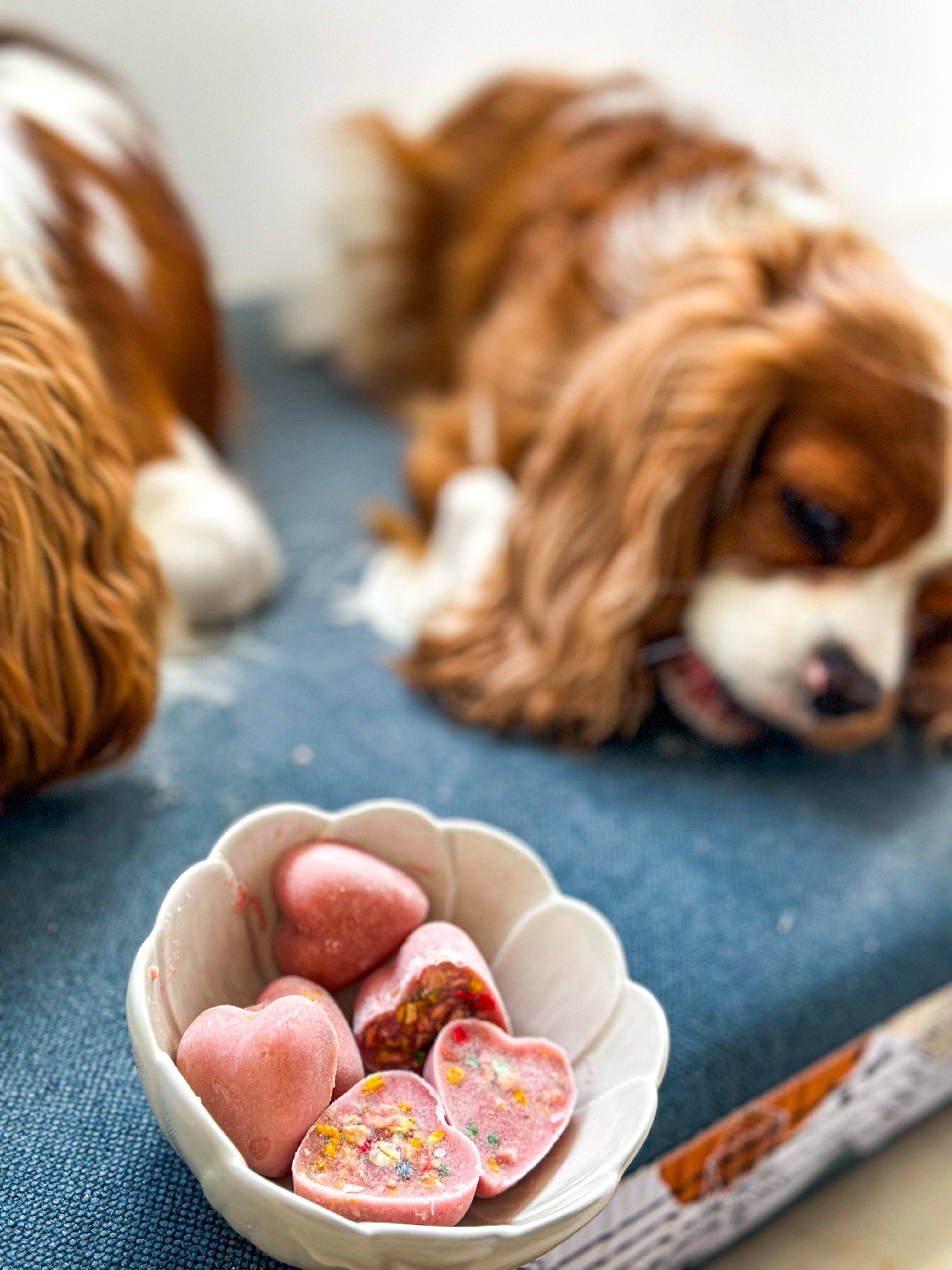Belpharmed bv: Cooka's Cookies & Sensidog - Venta al por mayor Chuches - Perros - Mezcla de helado con pollo real y fresa para mascotas9