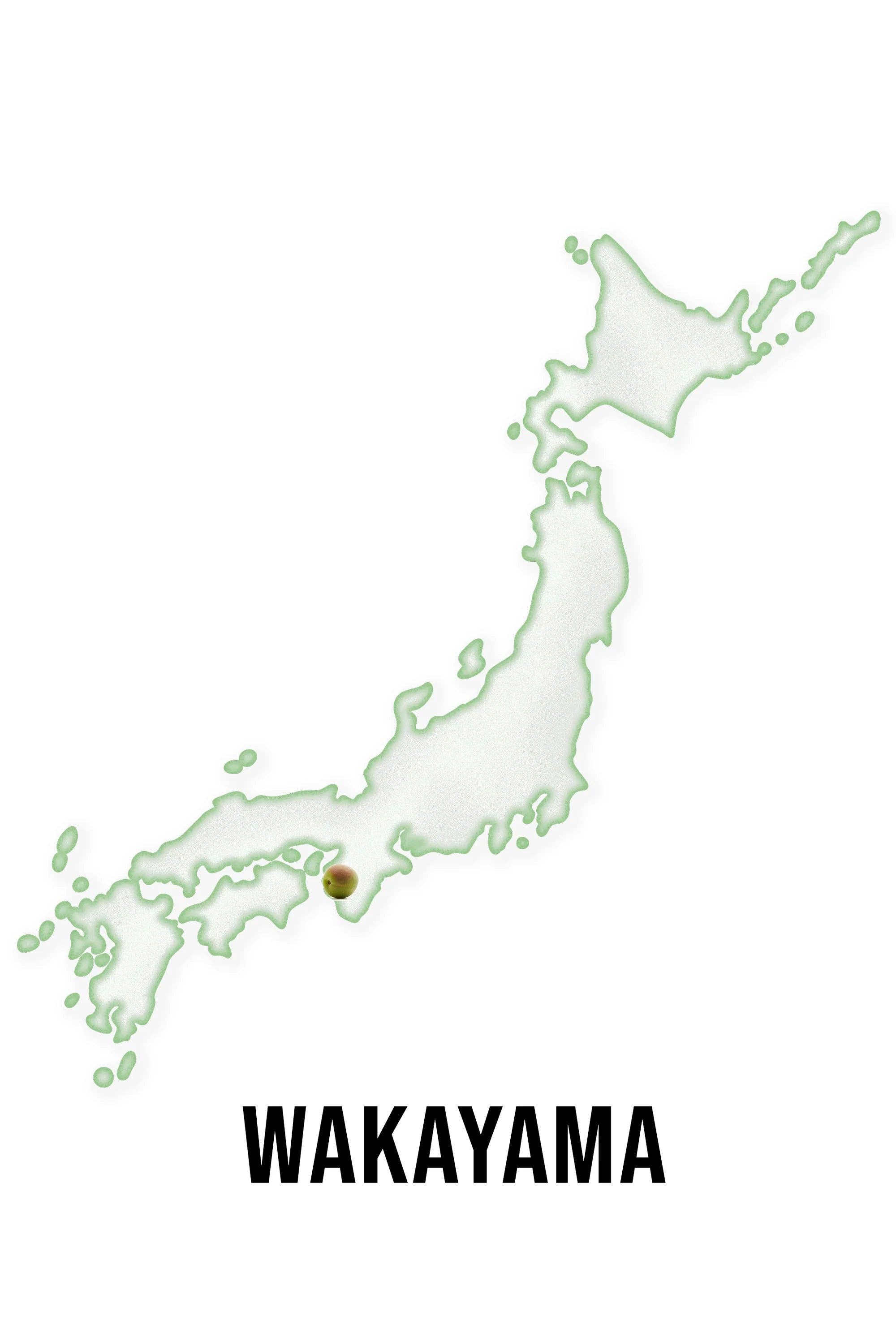 KIMINO Europe – wholesale Soda/carbonated drink – Ume Sparkling Juice 24 x 250ml3