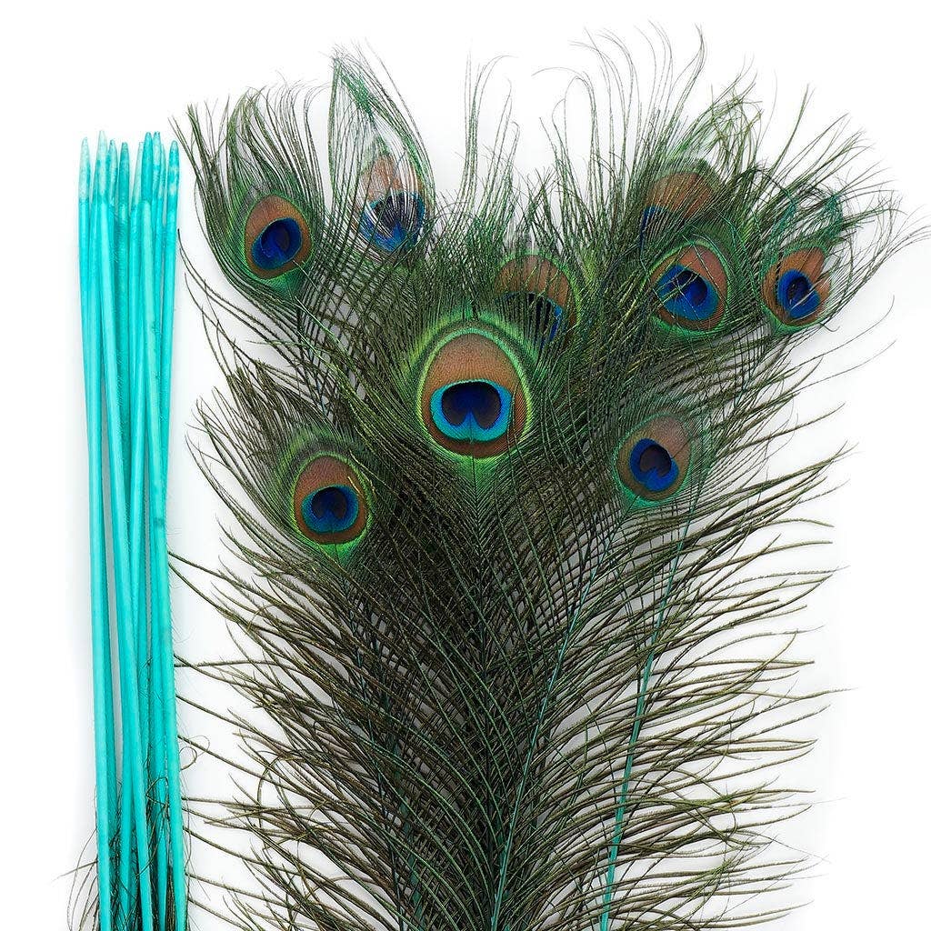 Zucker Feather Products - Venta al por mayor Plumas - Pluma de pavo real teñida en el tallo, 25 a 40 pulgadas, 10 unidades ligeras4