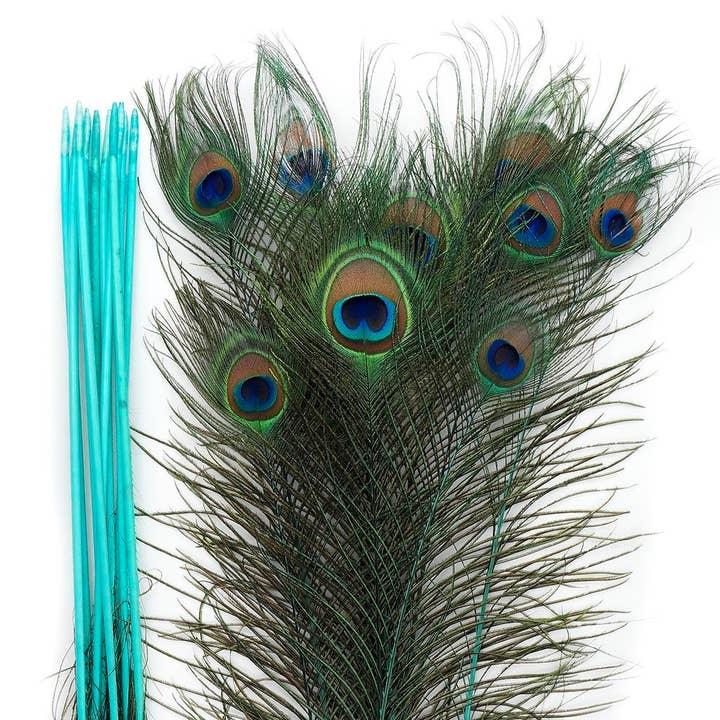 Zucker Feather Products - Venta al por mayor Plumas - Pluma de pavo real teñida en el tallo, 25 a 40 pulgadas, 10 unidades ligeras4