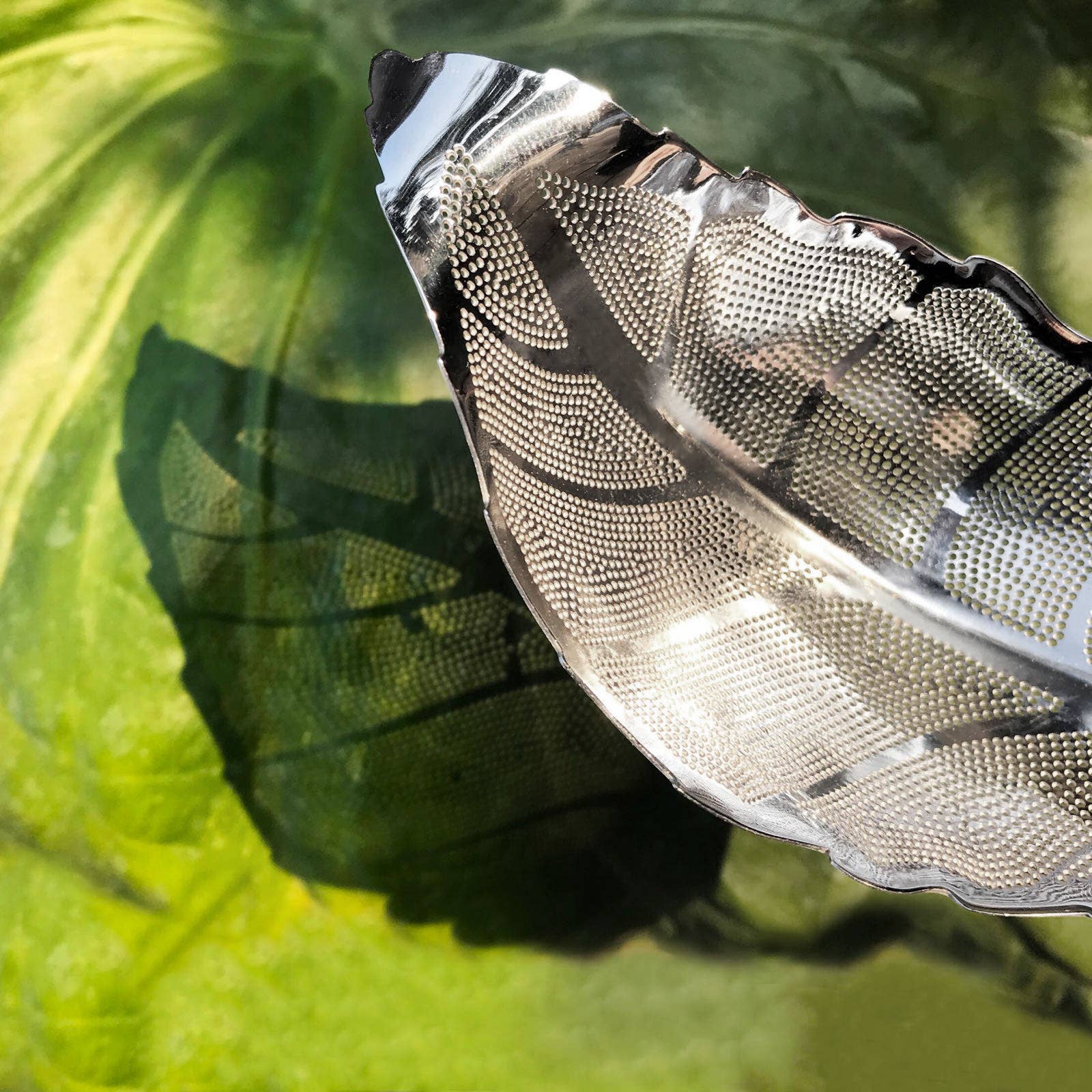 01living Ltd - Wholesale Tea Strainer/Infuser - Leaf Shaped Tea Strainer Loose Leaf Tea Infuser Silver2