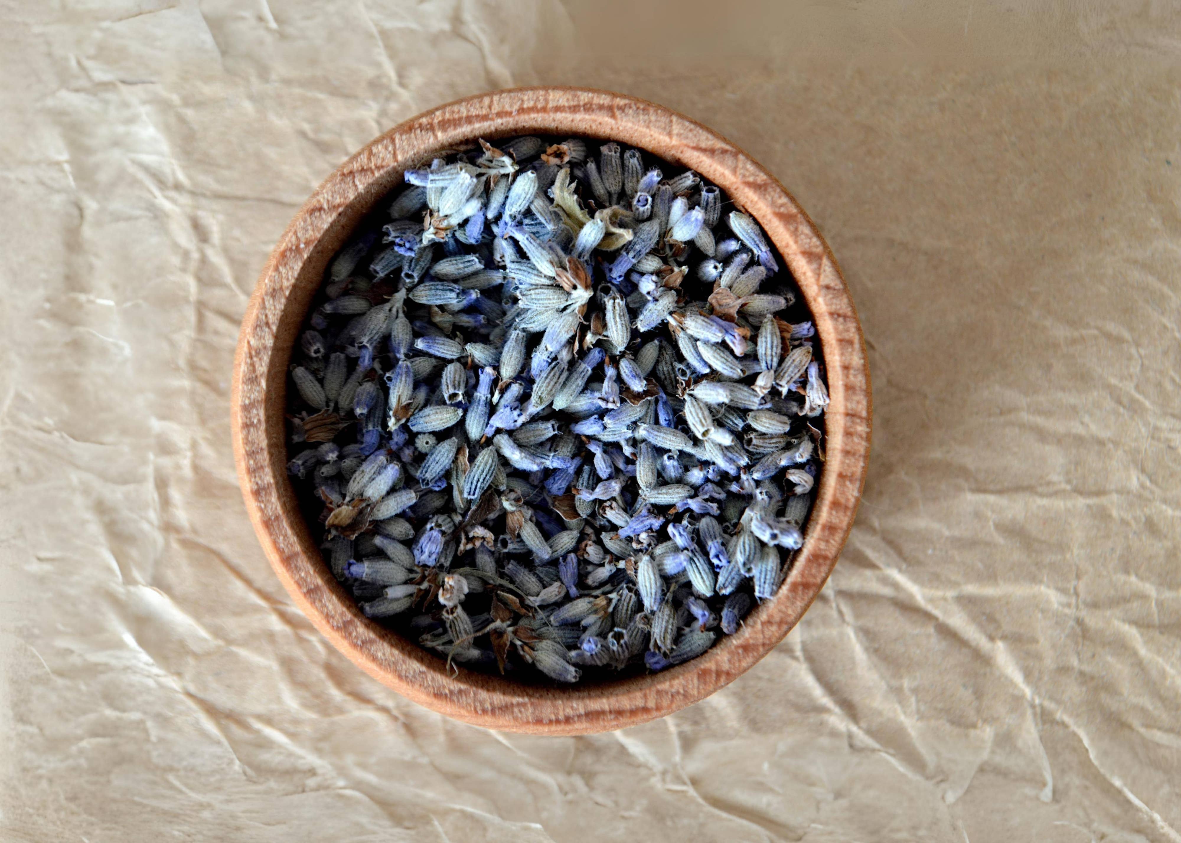 Tumalo Lavender - Vente Fleur séchée/pressée - Bourgeons de lavande séchés3