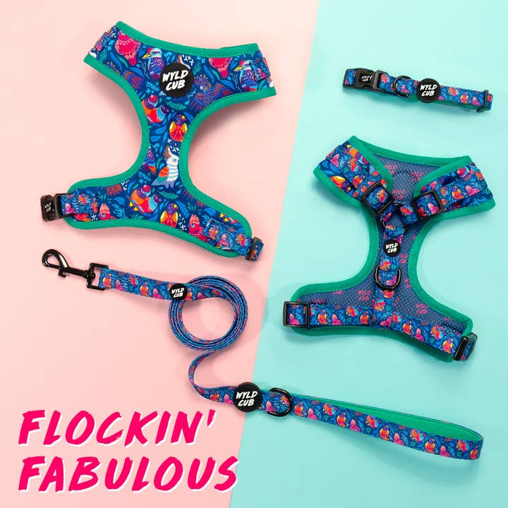 WYLD CUB – wholesale Pet collar – Dog – Flockin' Fabulous: Dog Collar