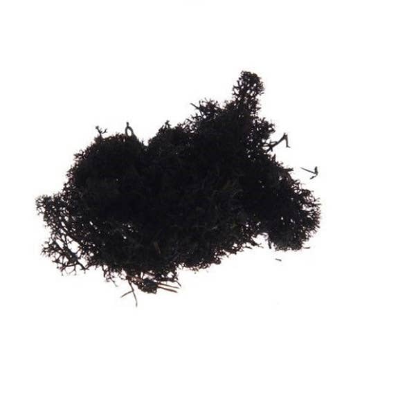 Dutch Flower Lady - Wholesale Dried/Pressed Flowers - Preserved Reindeer Moss 6 choose from colors6